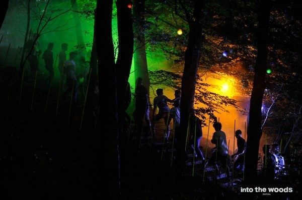 Into the woods