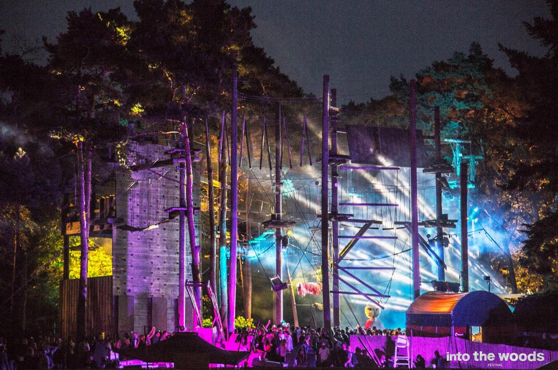 Into the woods