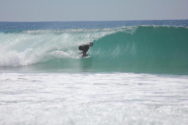Surf4