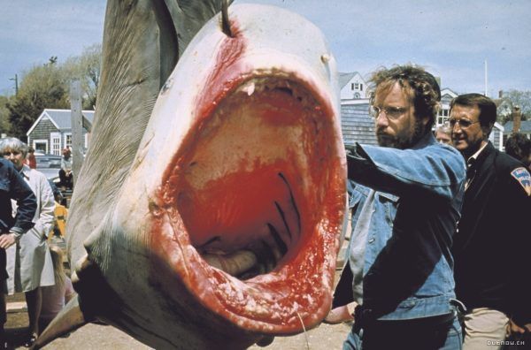 Les animaux, ces serial killers de l’été.