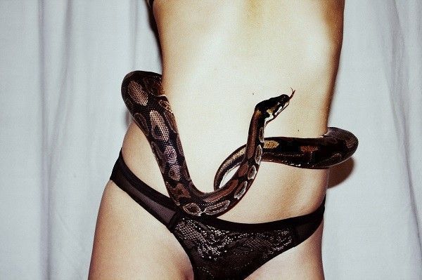lana-prins-snake-01