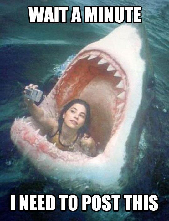 funny girl selfie shark 1