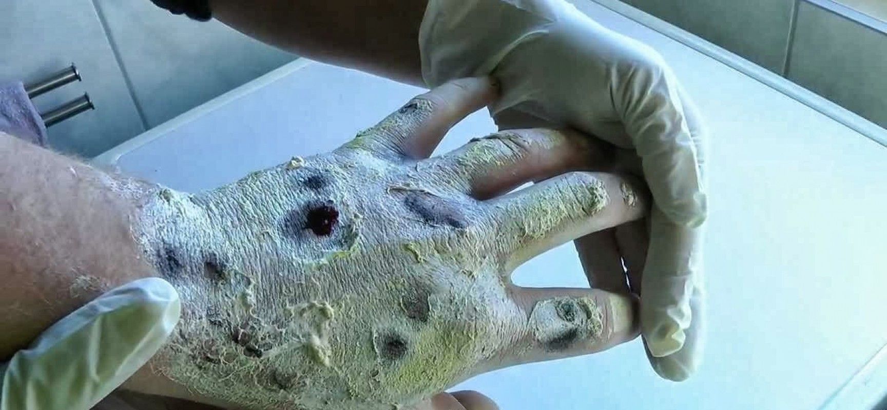 krokodil main