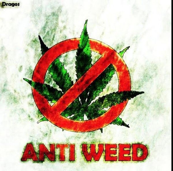 anti weed 