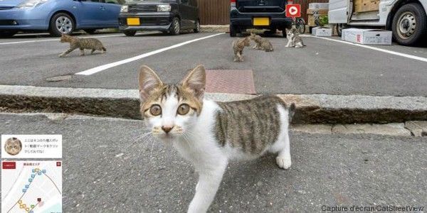 chats google street view