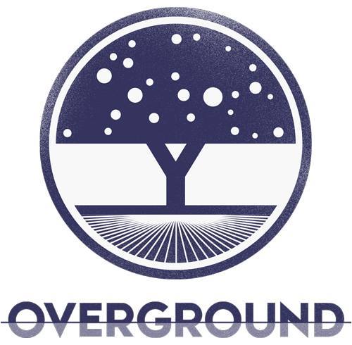 anja schneider overground