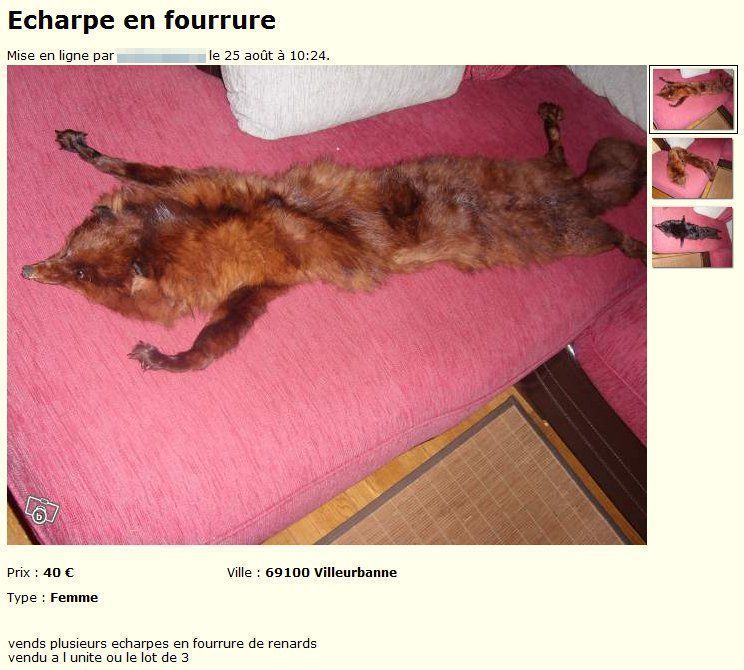 Echarpe-en-fourrure-Vêtements-Rhône-leboncoin.fr_