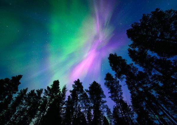 Joni Niemelä aurora borealis