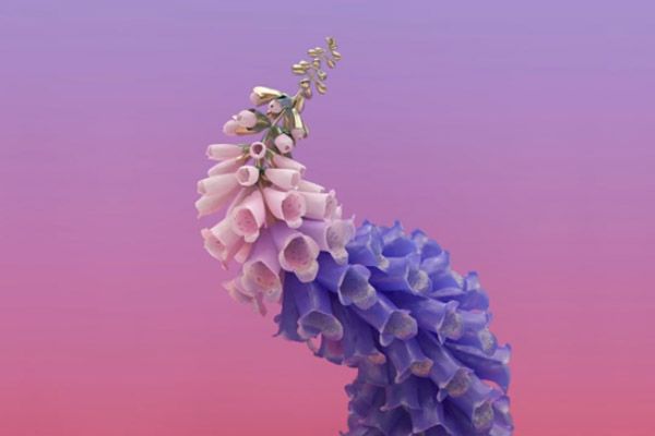 Skin Flume