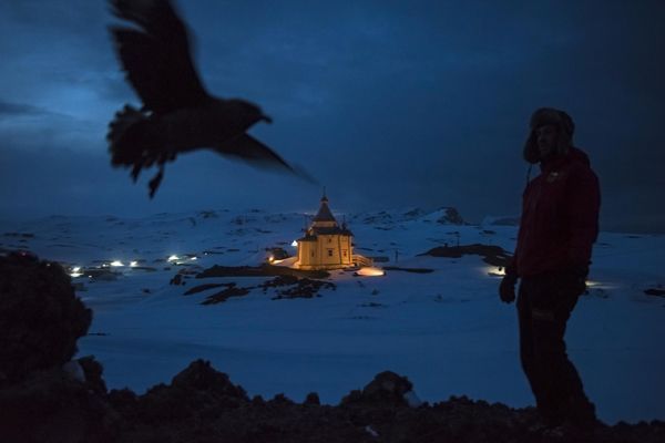 daniel berehulak world press photo