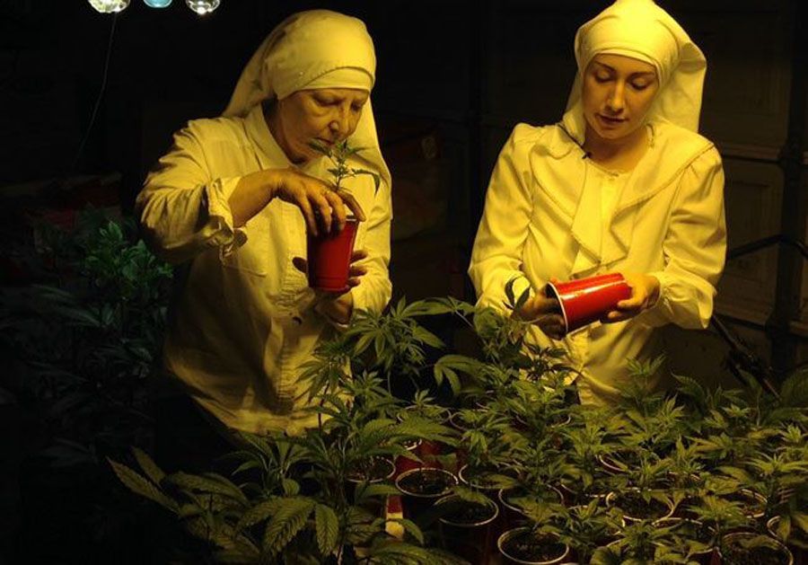 sisters of the valley