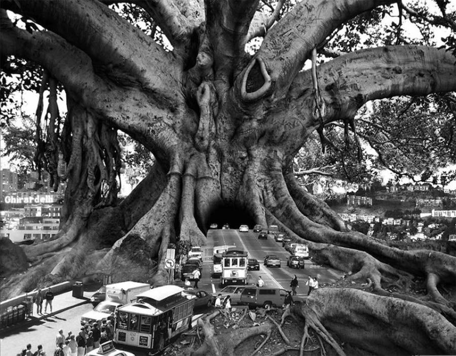 thomas barbèy