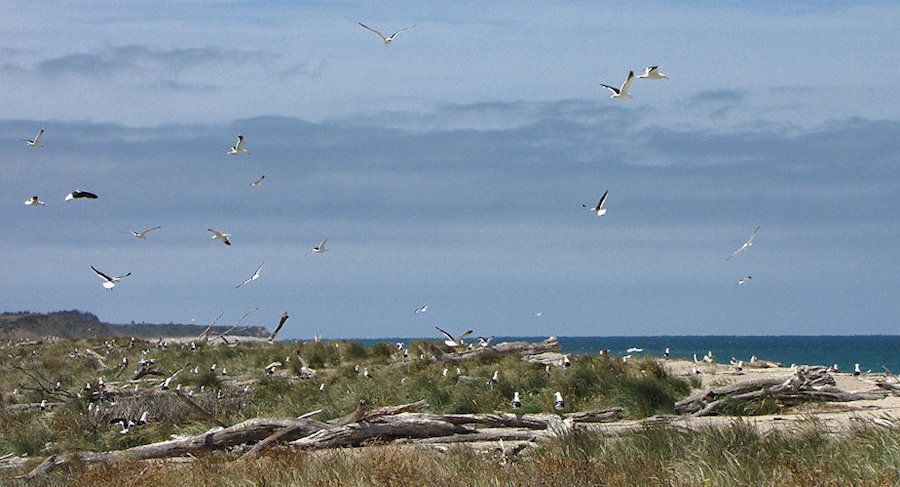 Kaitangata