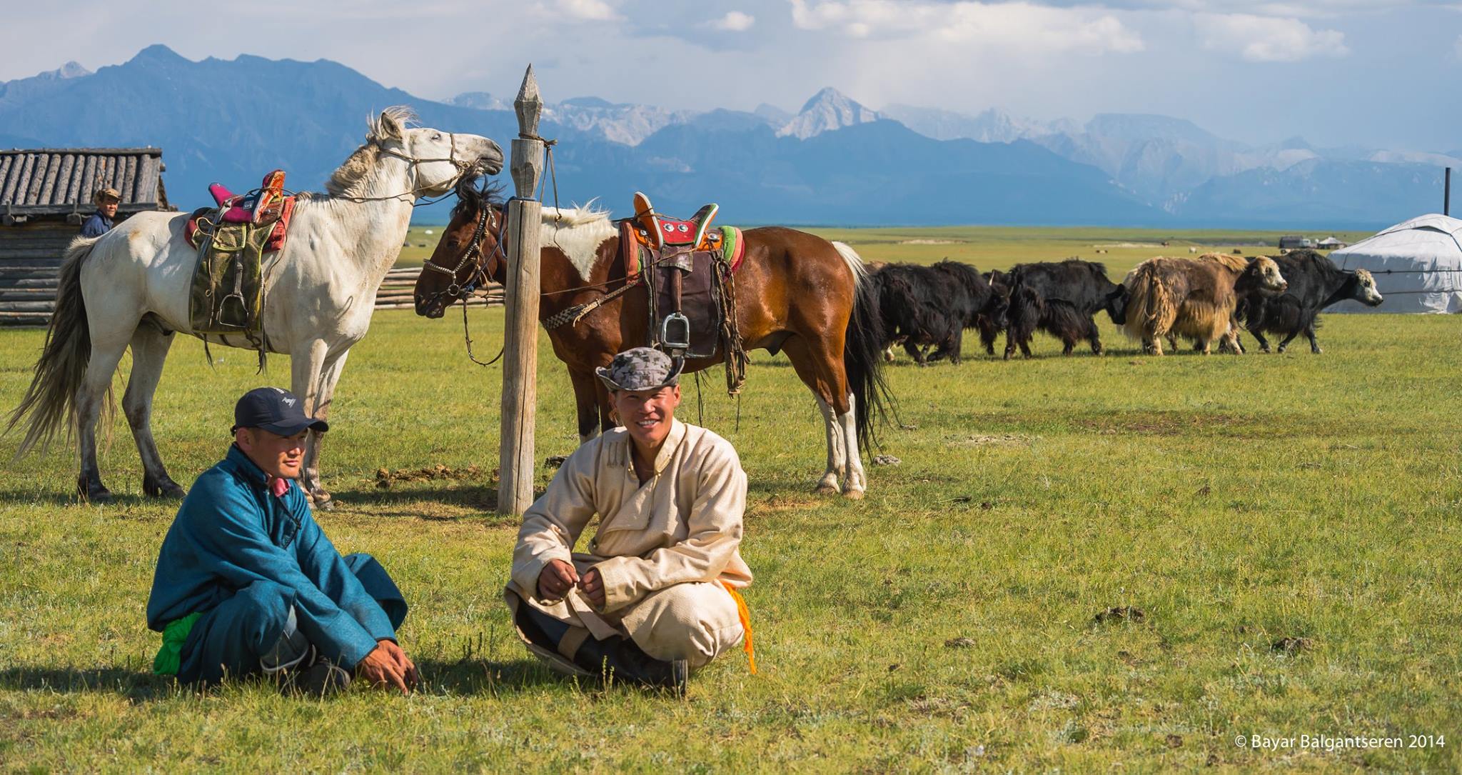 mongolie paysan