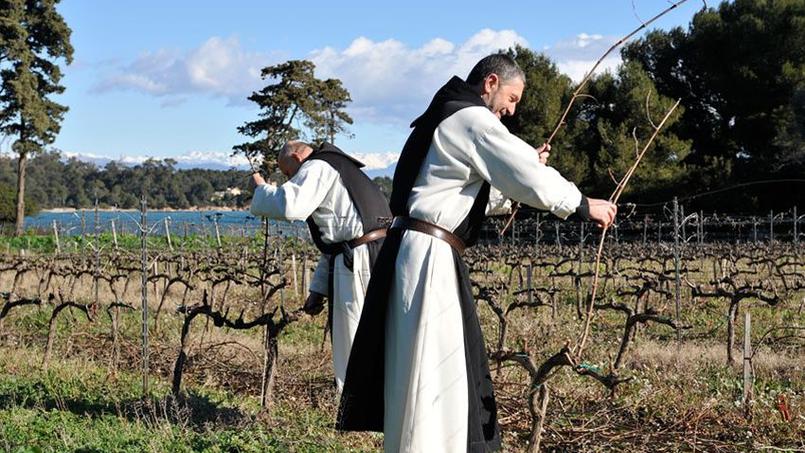 moines vignobles