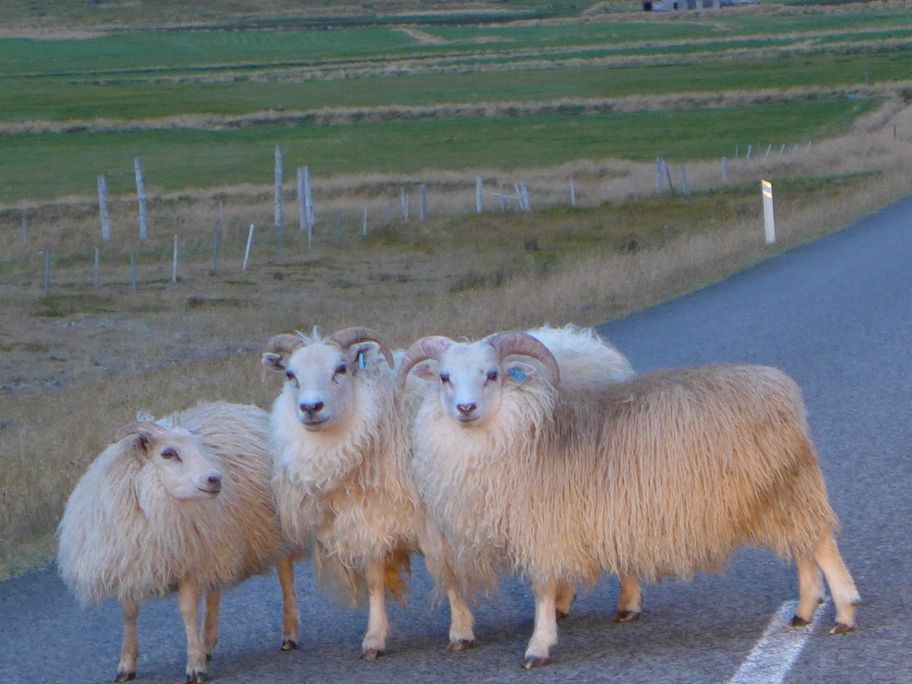 Islande