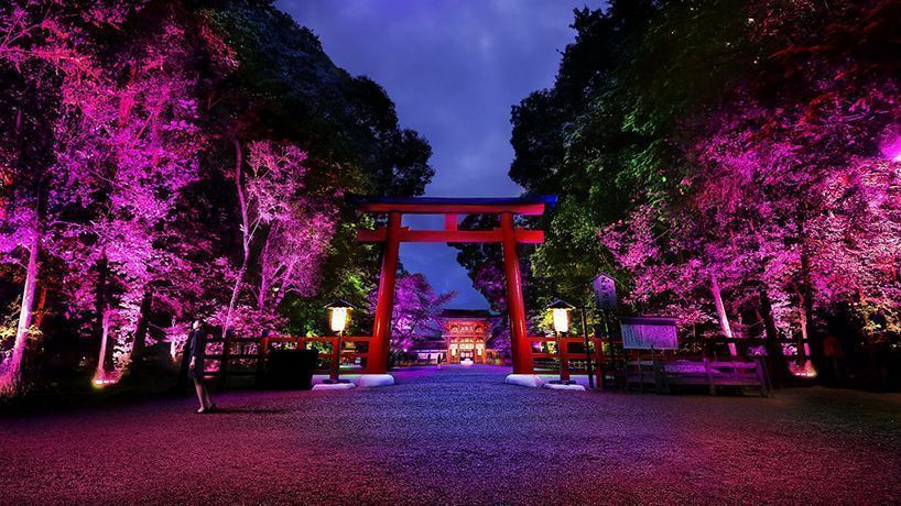teamlab kyoto 10