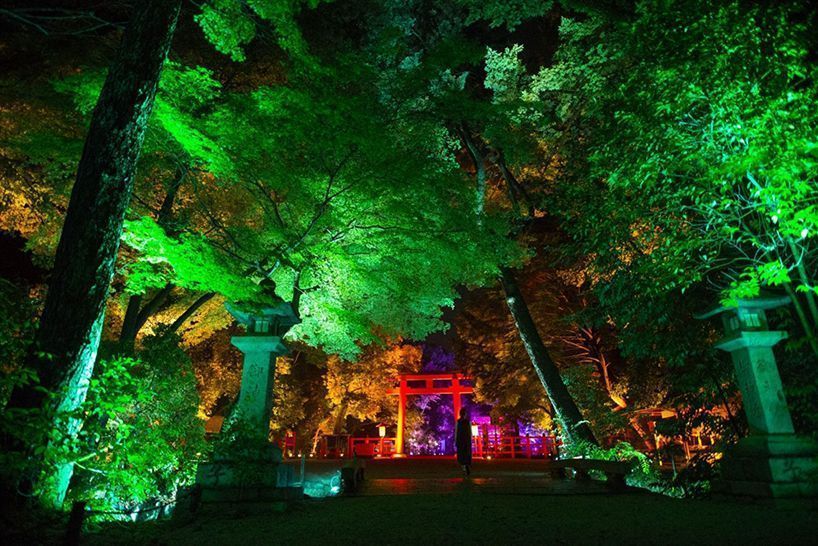 teamlab kyoto 11