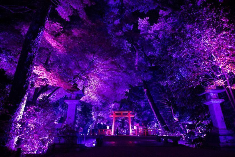 teamlab kyoto 13