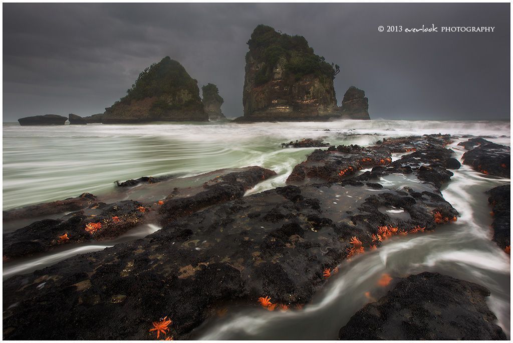 New Zealand