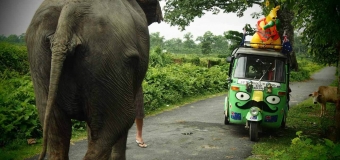 rickshaw run