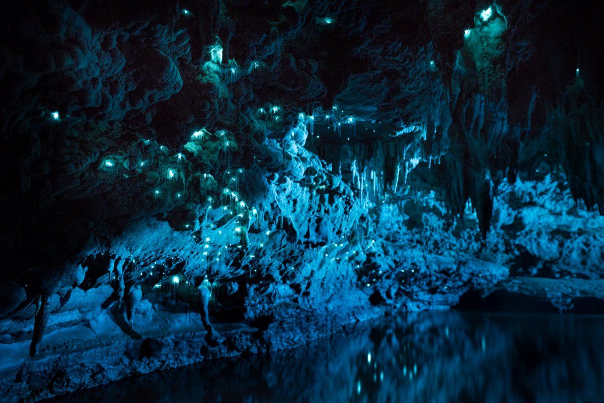 Bioluminescence bioluminescence