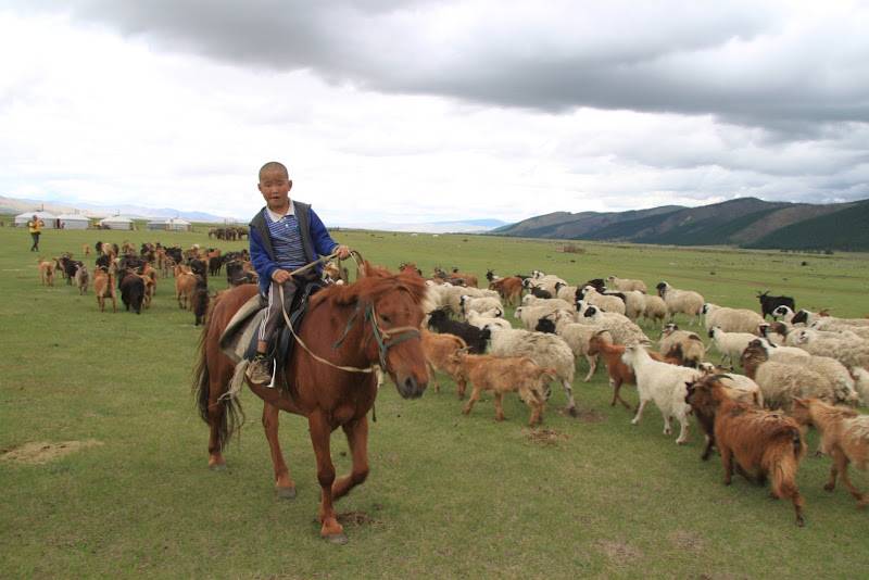 mongols