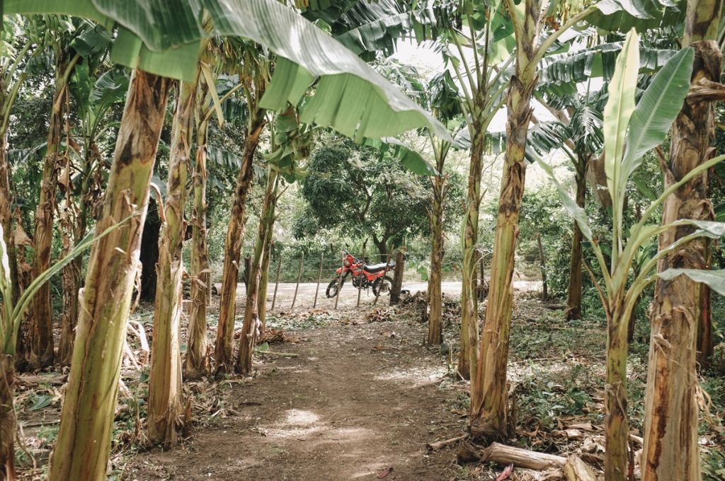 nicaragua