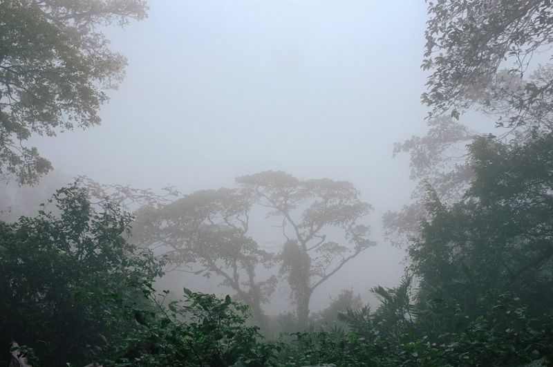 nicaragua