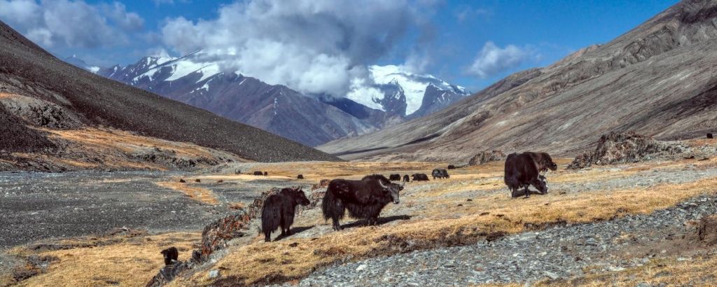 Tadjikistan