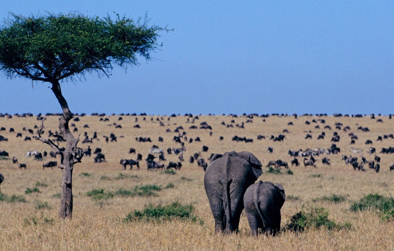 tanzanie