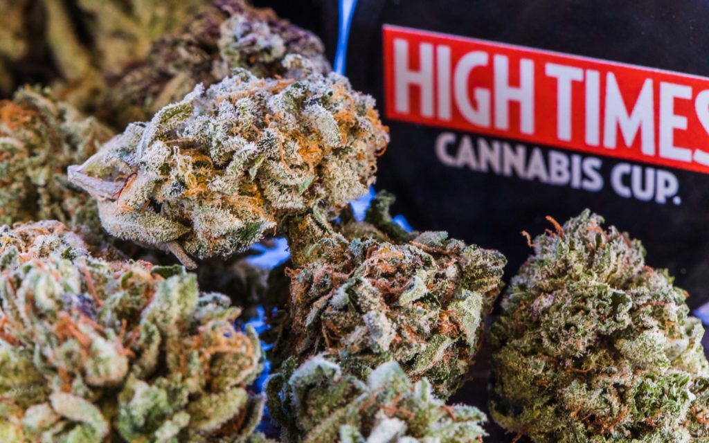 hightimescannabis