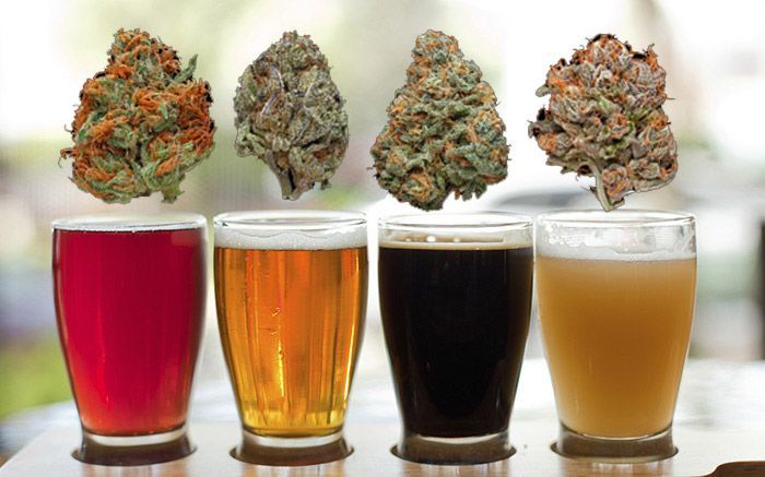 weed