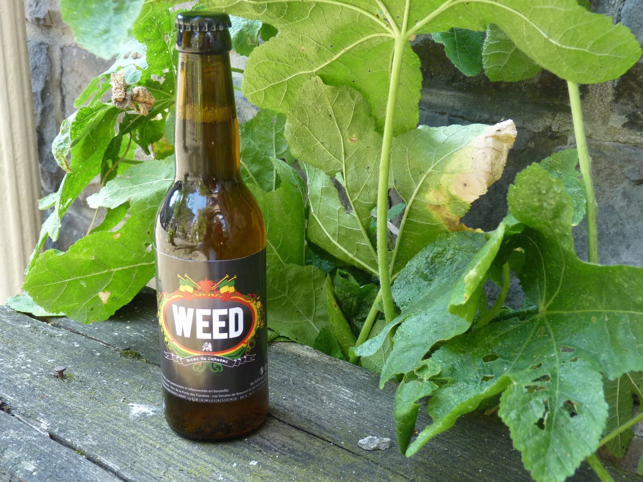 weed