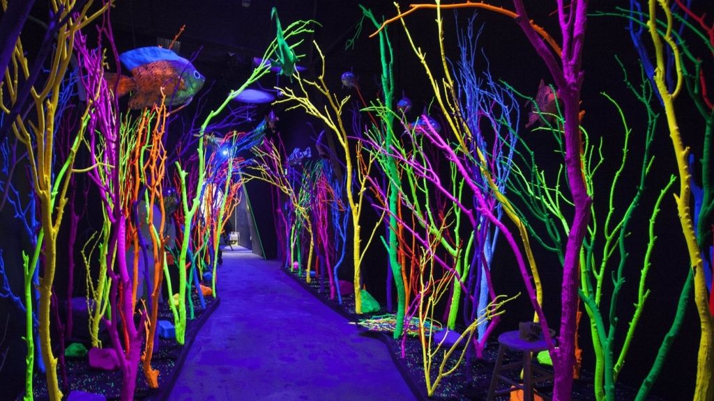 Meow Wolf