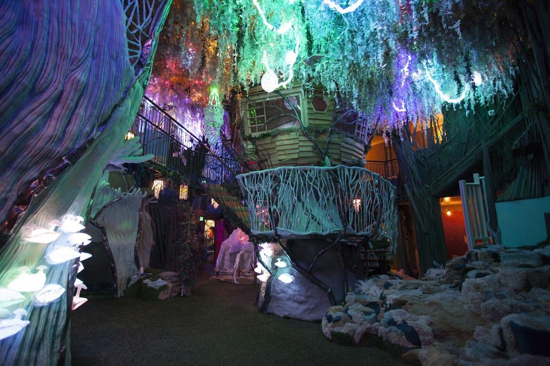 Meow Wolf