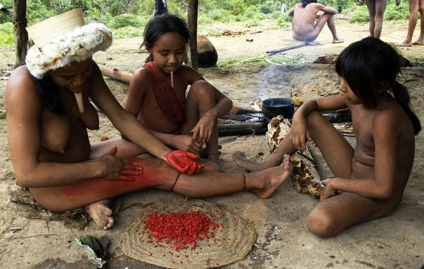 tribu