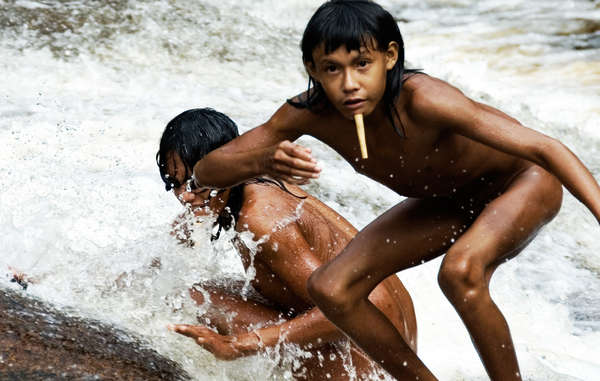 tribu