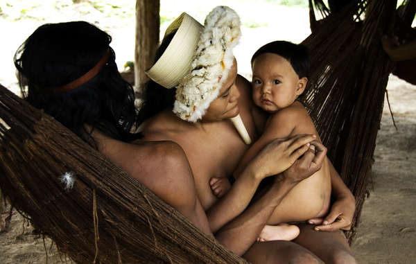 tribu
