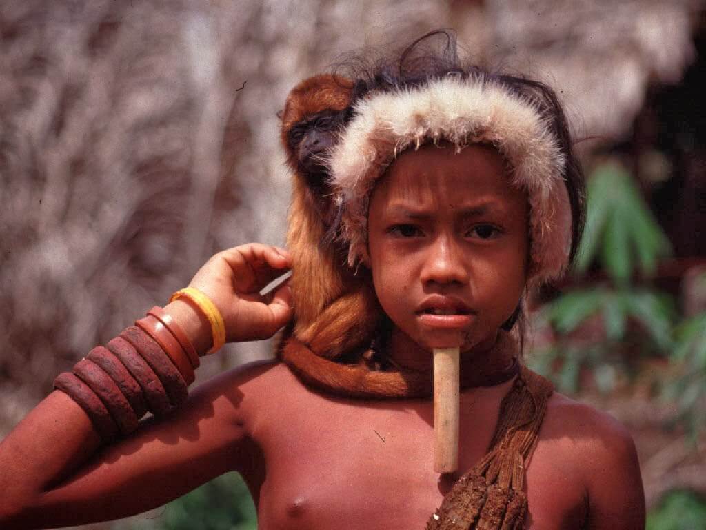 tribu