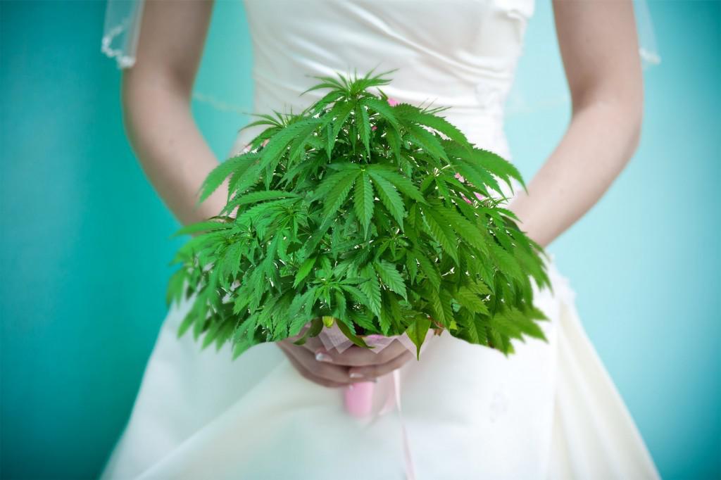 Cannabis Wedding Expo