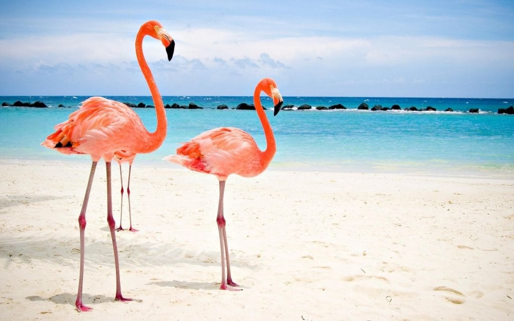Bahamas