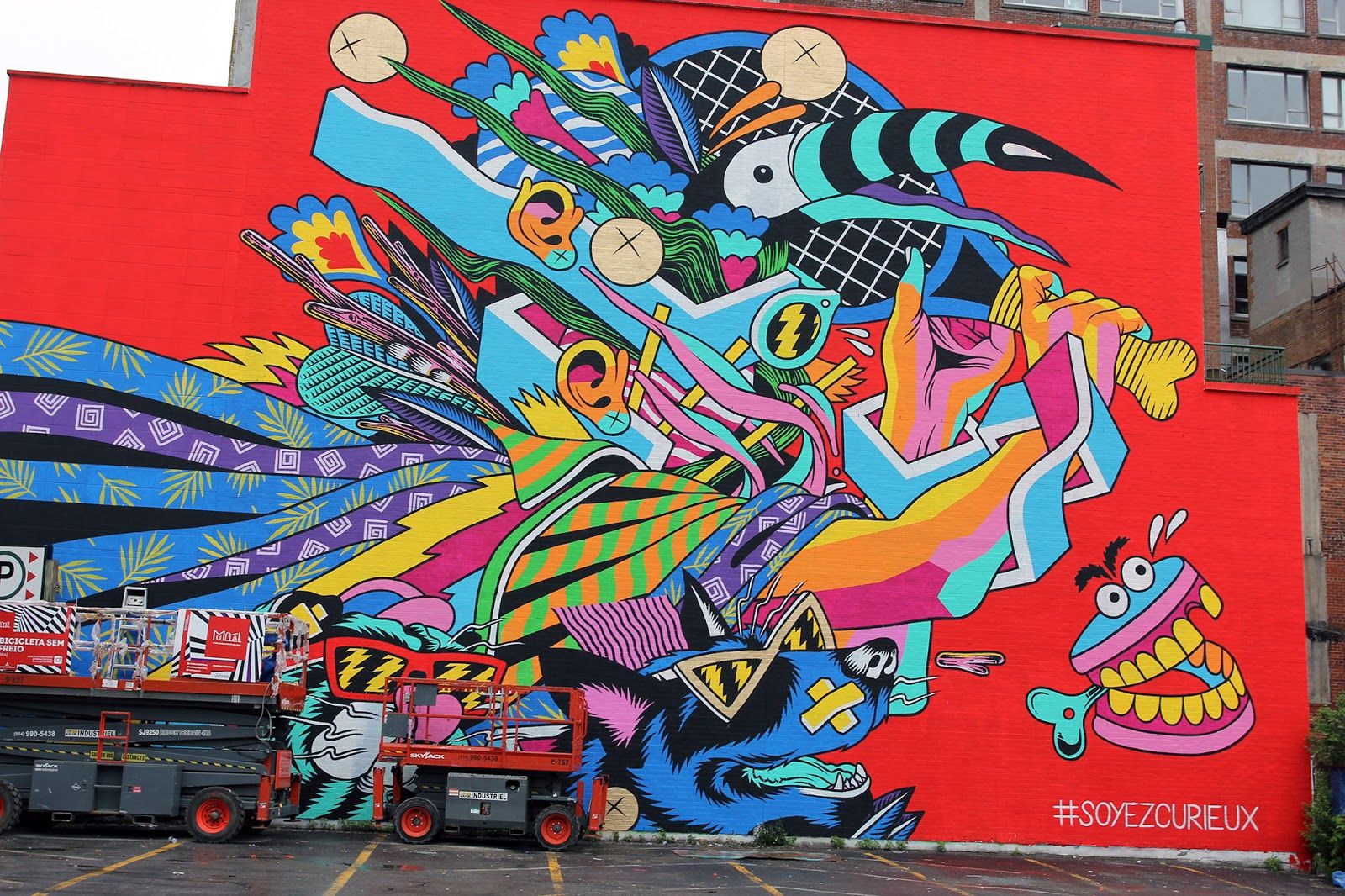 Bicicleta Sem Freio