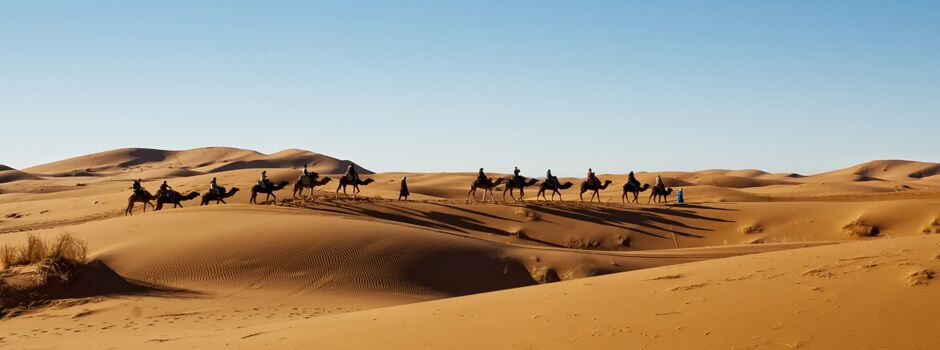 desert