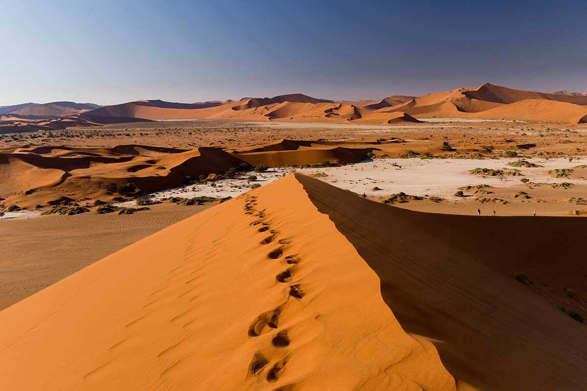 desert