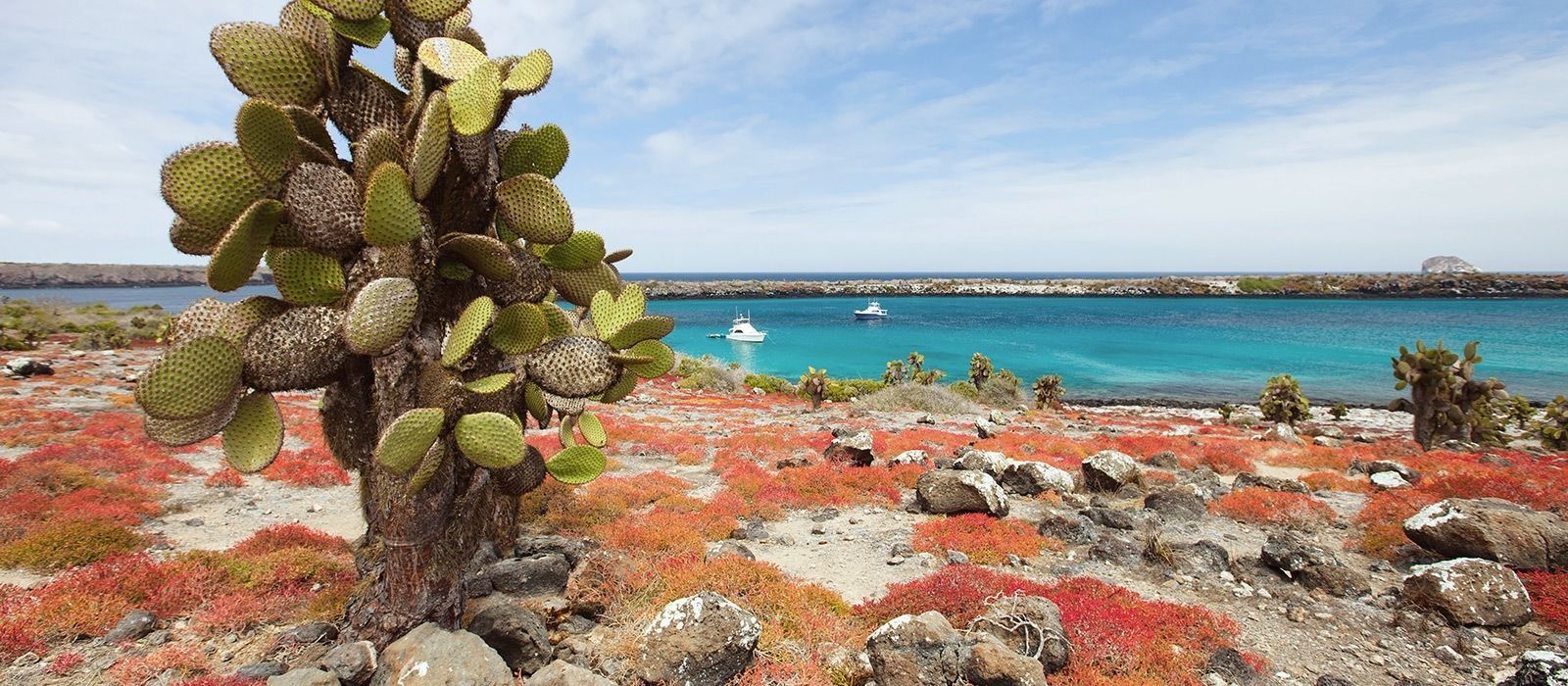 Galapagos