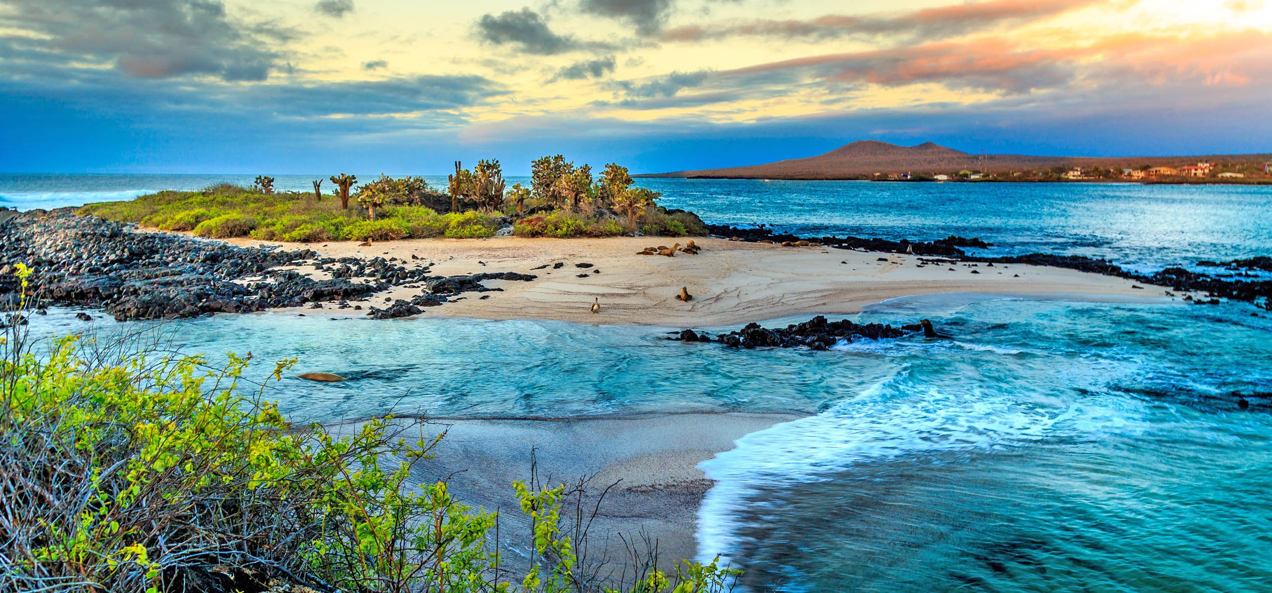Galapagos
