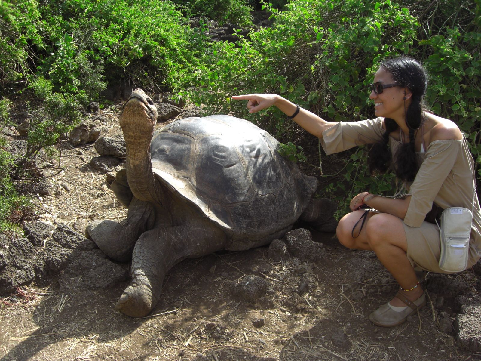 Galapagos