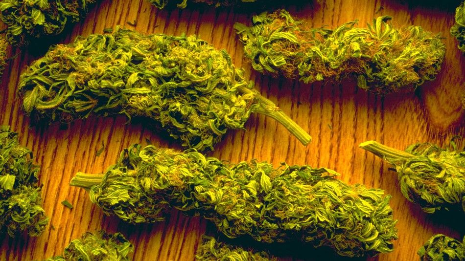 weed