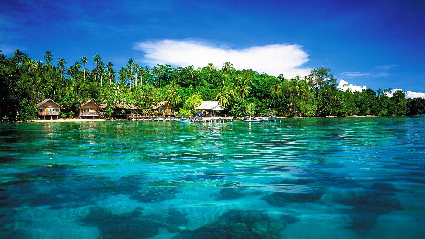 soft shorten Red Les îles Salomon, voyage à l'autre bout du monde | OpenMinded